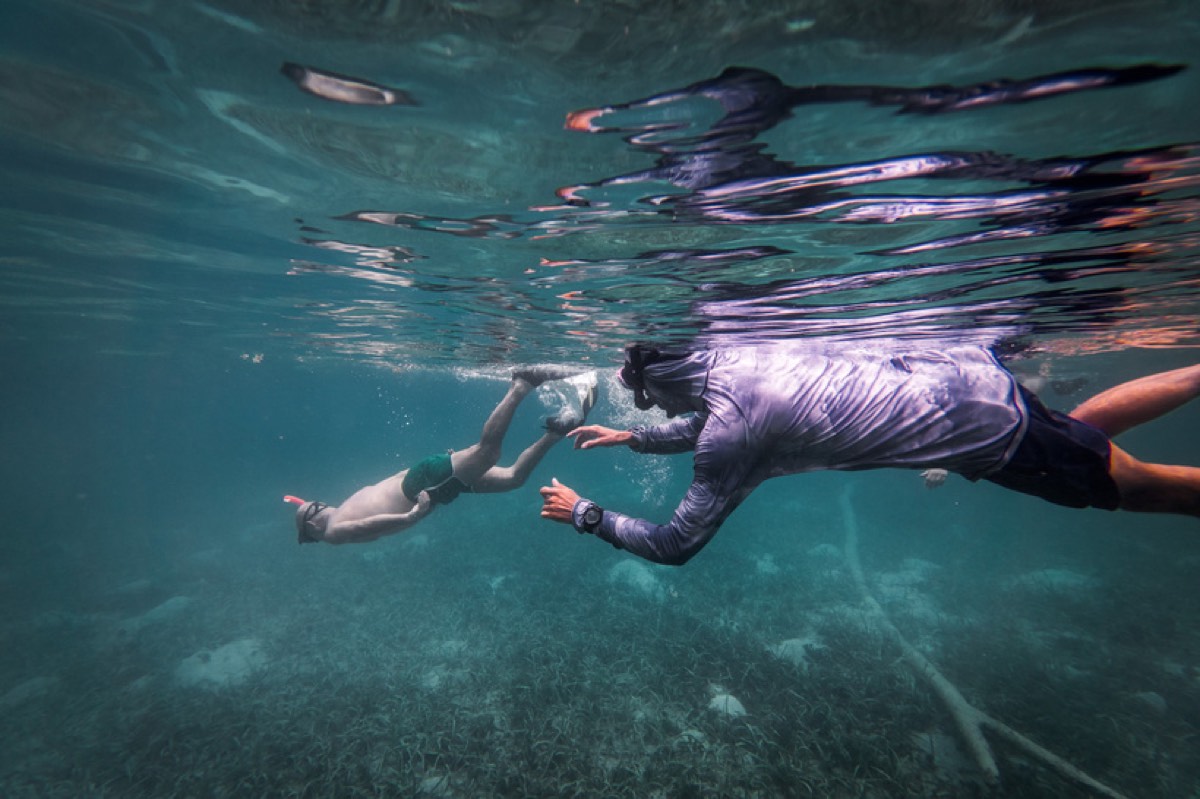 A freediver swims over the reef