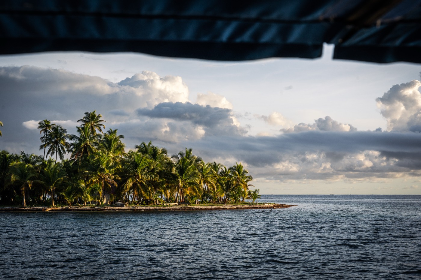 A palm-covered island surrounded by turquoise water